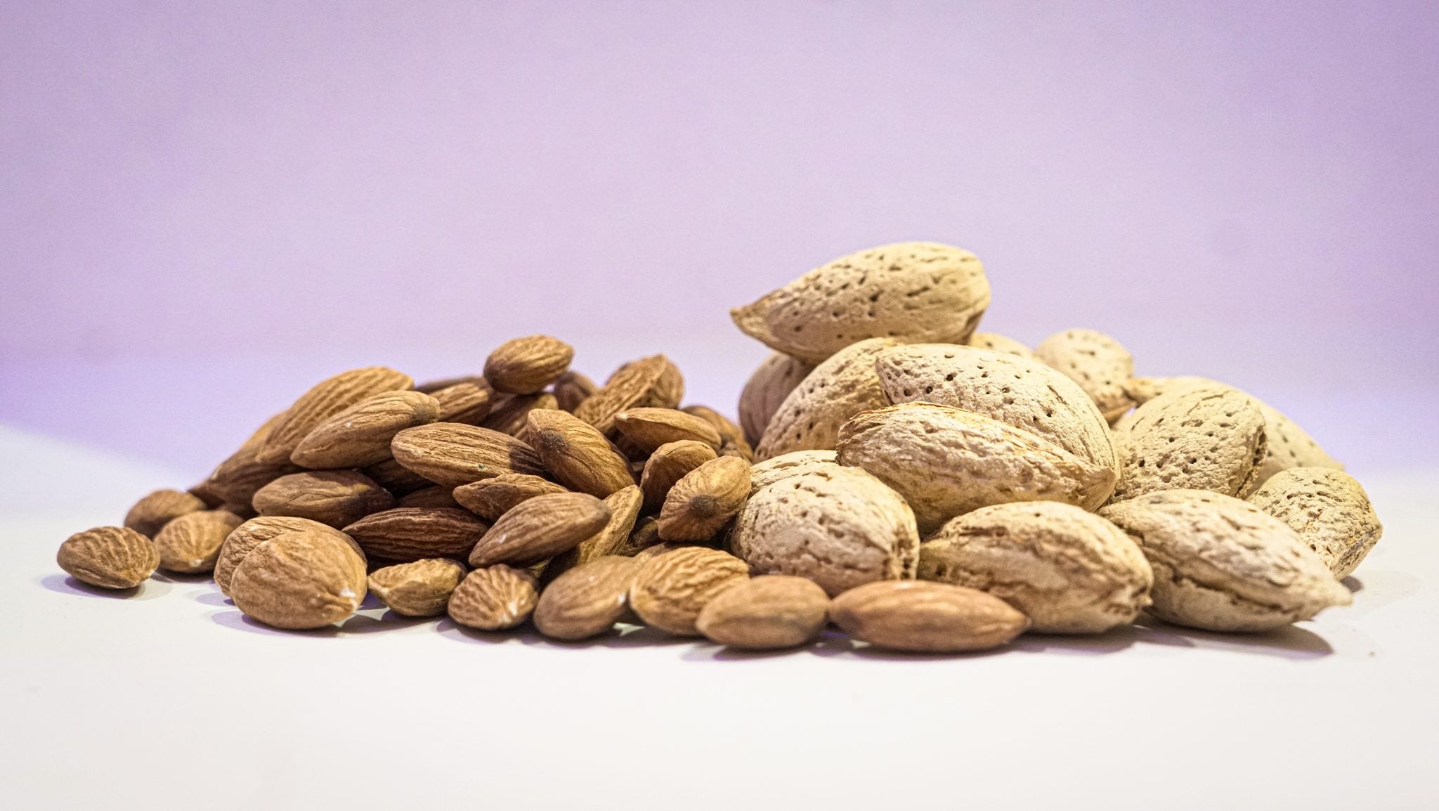 Hunza Apricot Kernels (Khubani Giri)