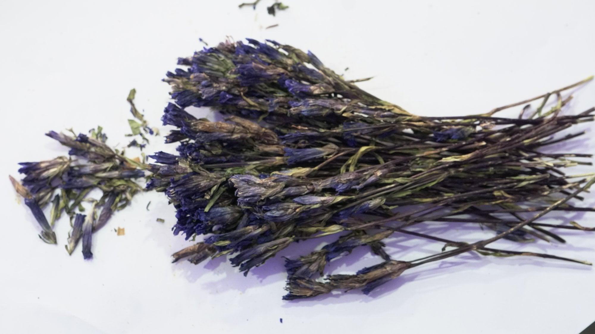 Dried lavender flowers for herbal tea