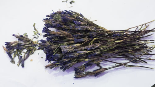 Dried lavender flowers for herbal tea